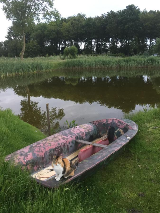 Logies De Meerkoet Brügge Exterior foto