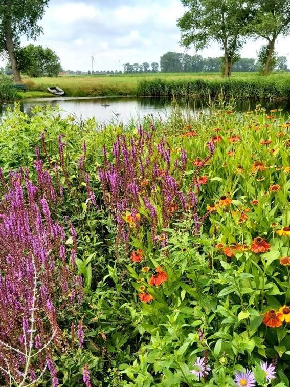 Logies De Meerkoet Brügge Exterior foto