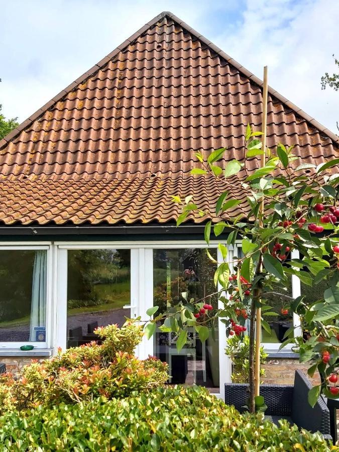 Logies De Meerkoet Brügge Exterior foto